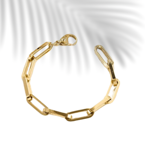 Classic Paperclip Bracelet Lg